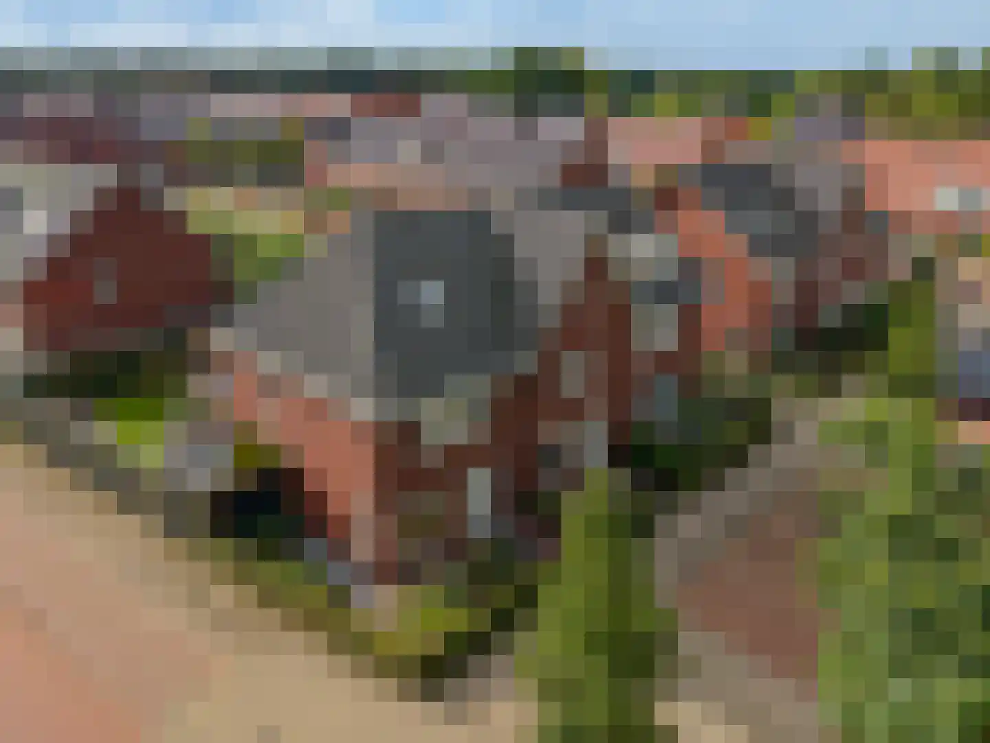 Veldbiesweg 10 't Harde thumbnail 67