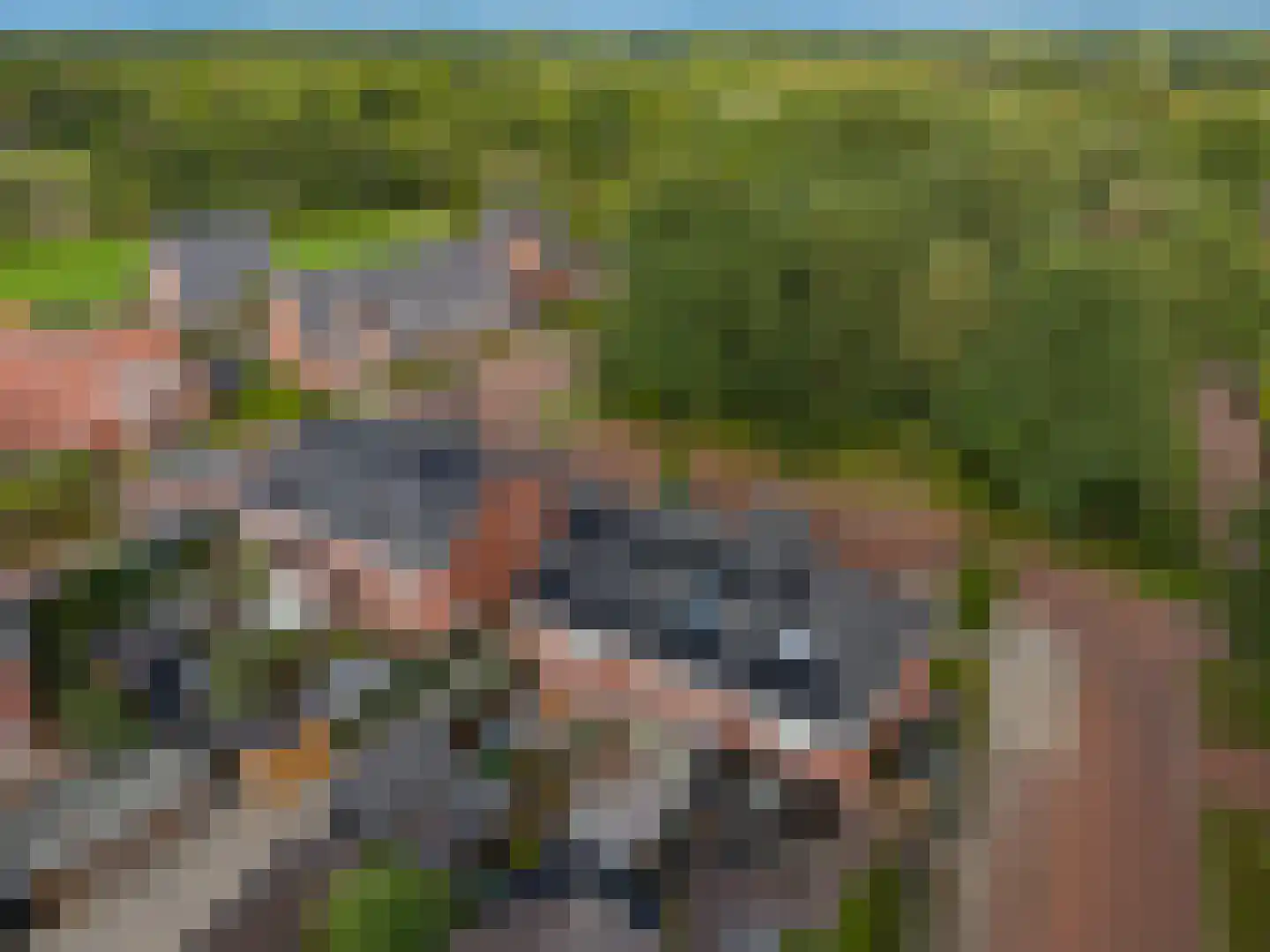 Veldbiesweg 10 't Harde thumbnail 68