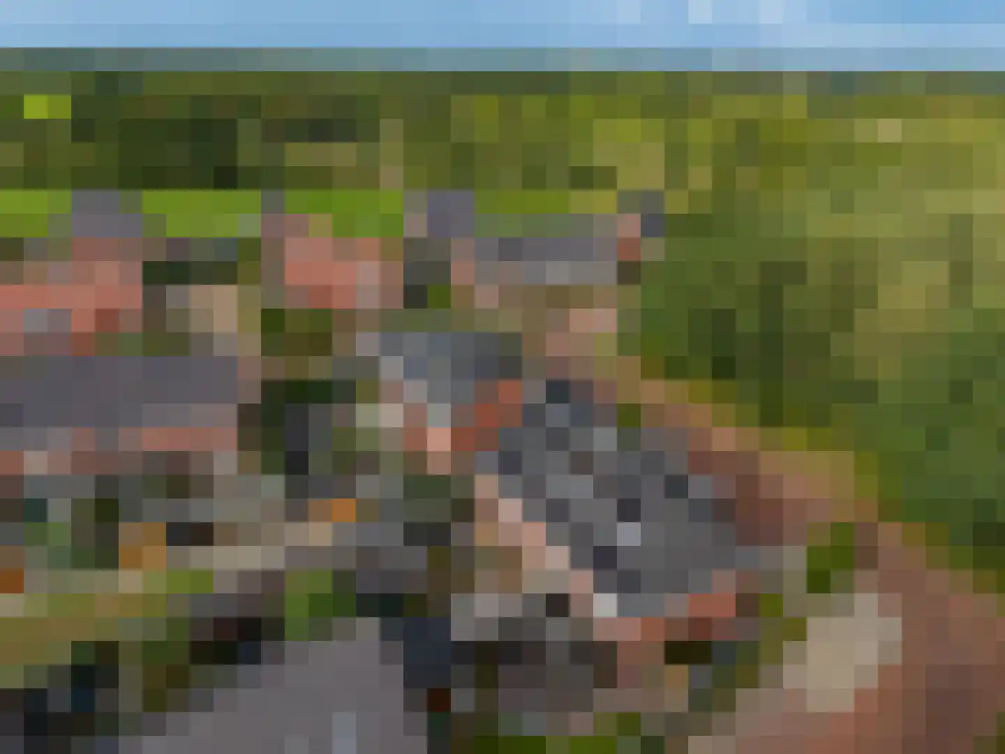 Veldbiesweg 10 't Harde thumbnail 69