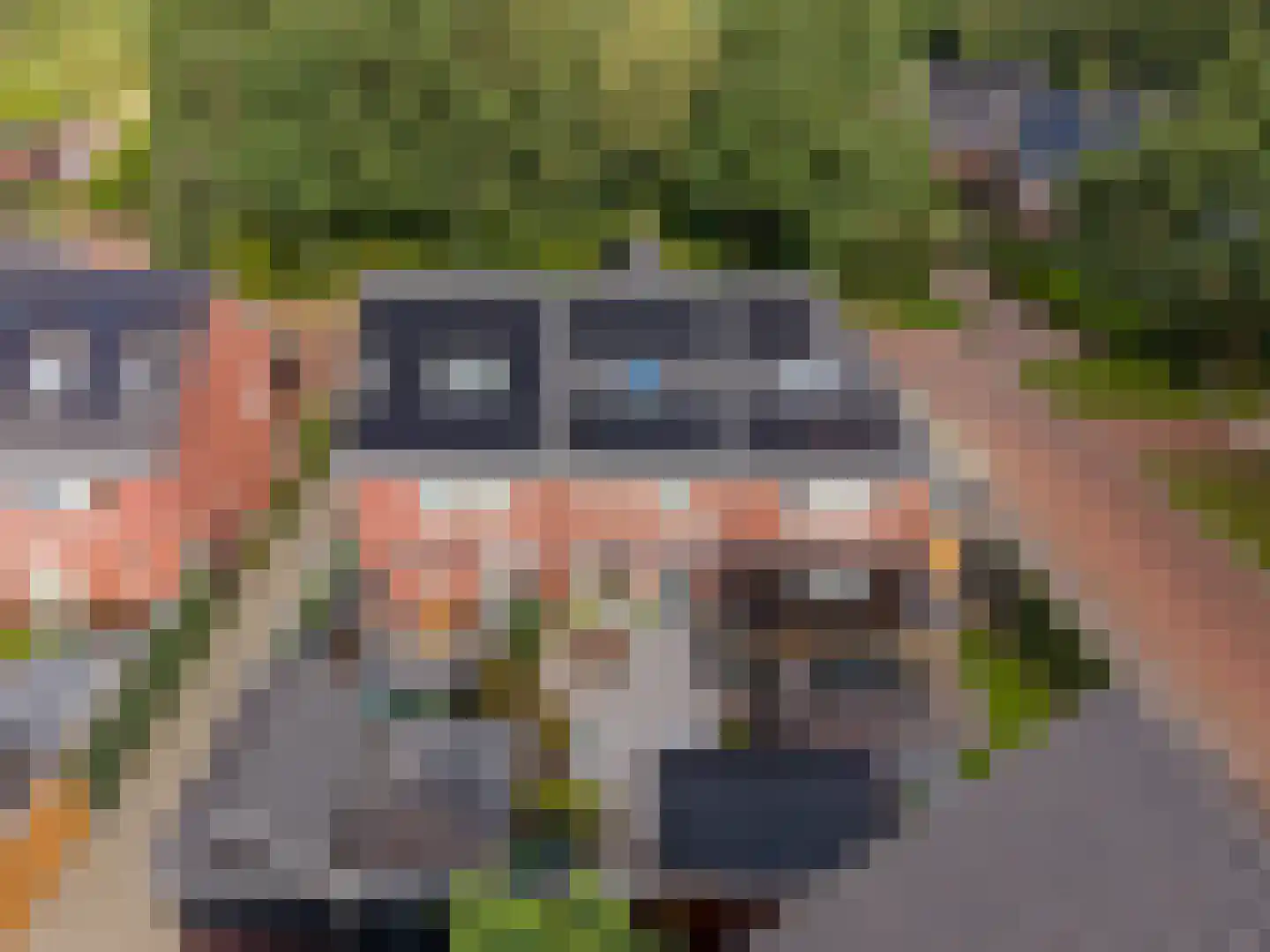 Veldbiesweg 10 't Harde thumbnail 70