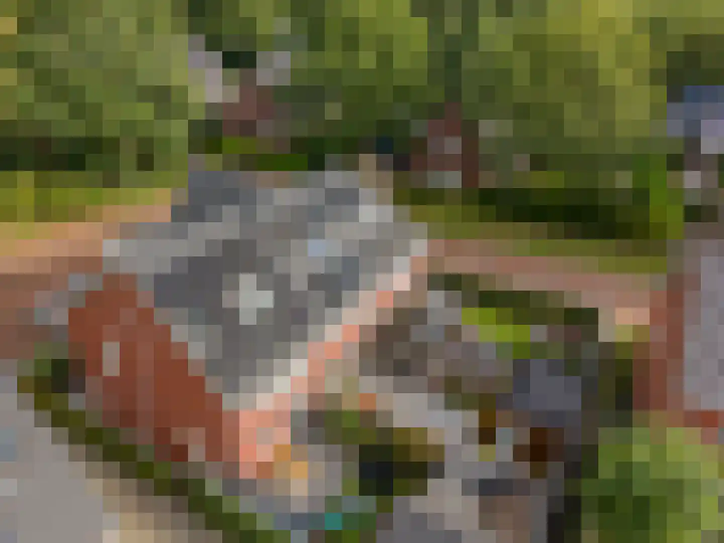 Veldbiesweg 10 't Harde thumbnail 71
