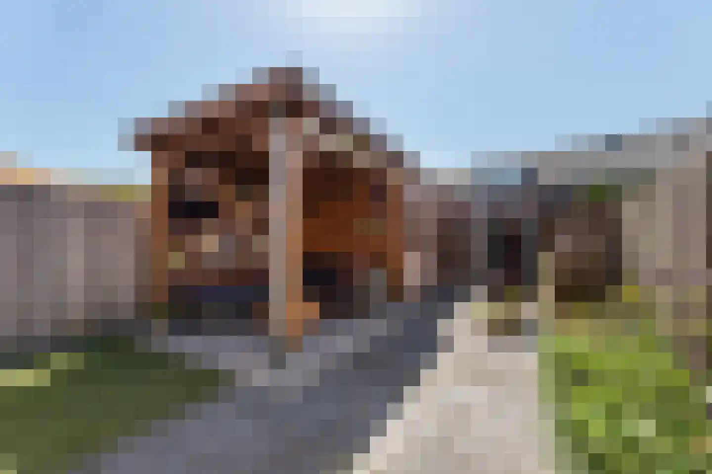 Veldbiesweg 18 't Harde thumbnail 32