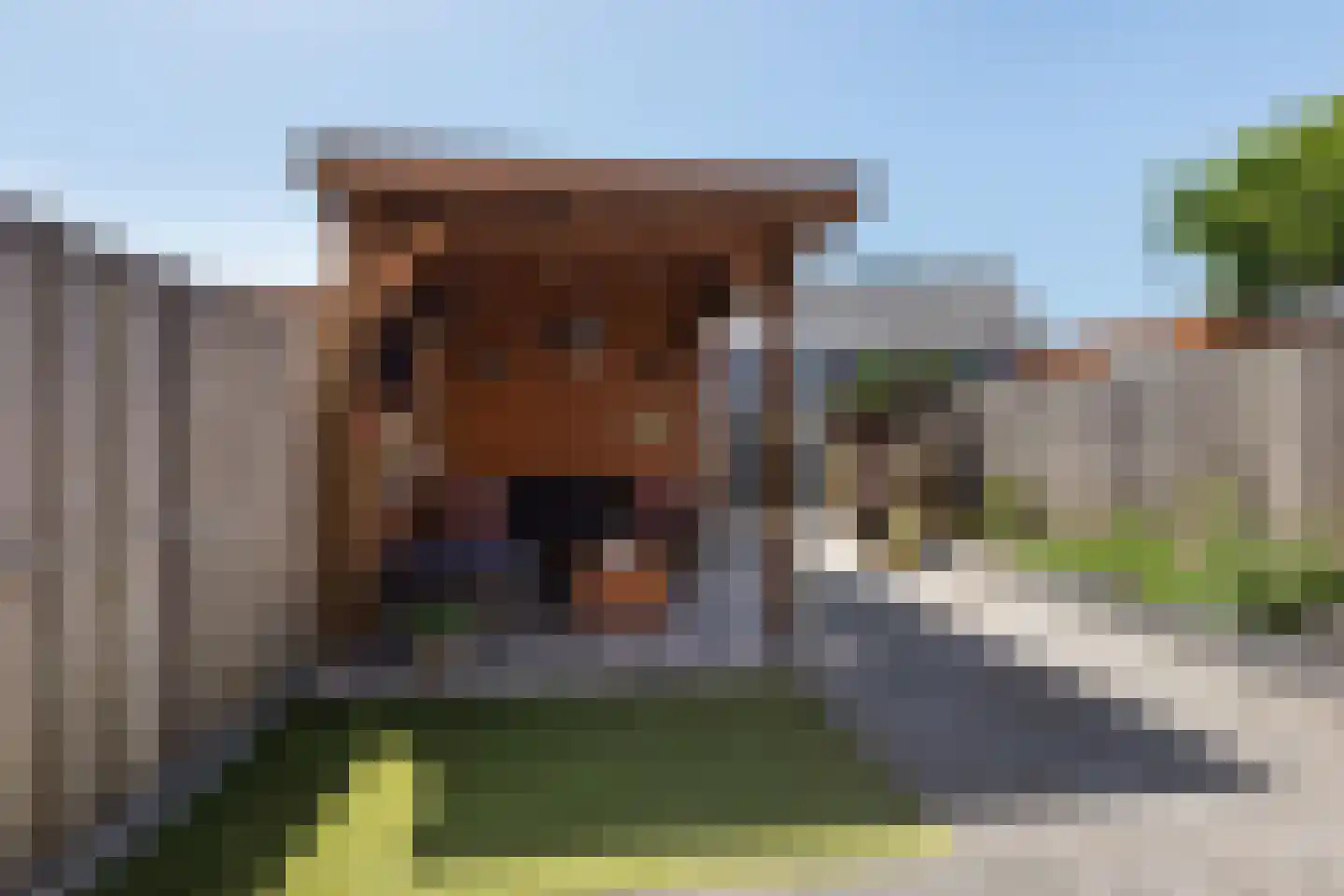 Veldbiesweg 18 't Harde thumbnail 33