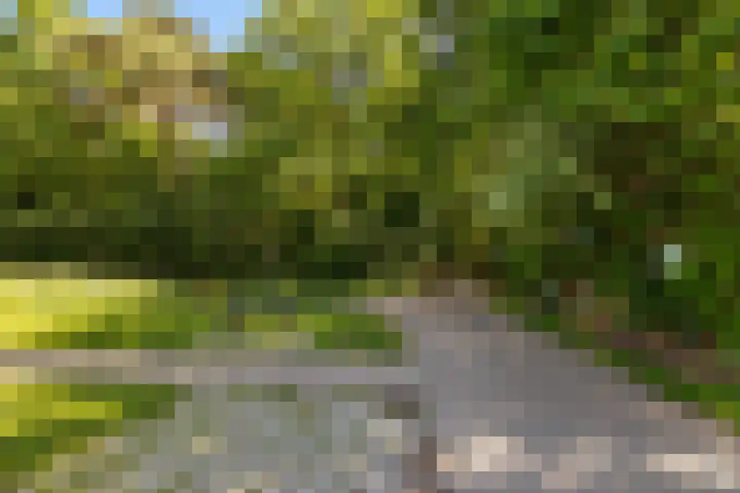 Veldbiesweg 18 't Harde thumbnail 40
