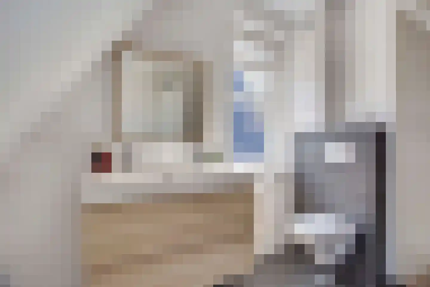Veldbiesweg 37 't Harde thumbnail 38