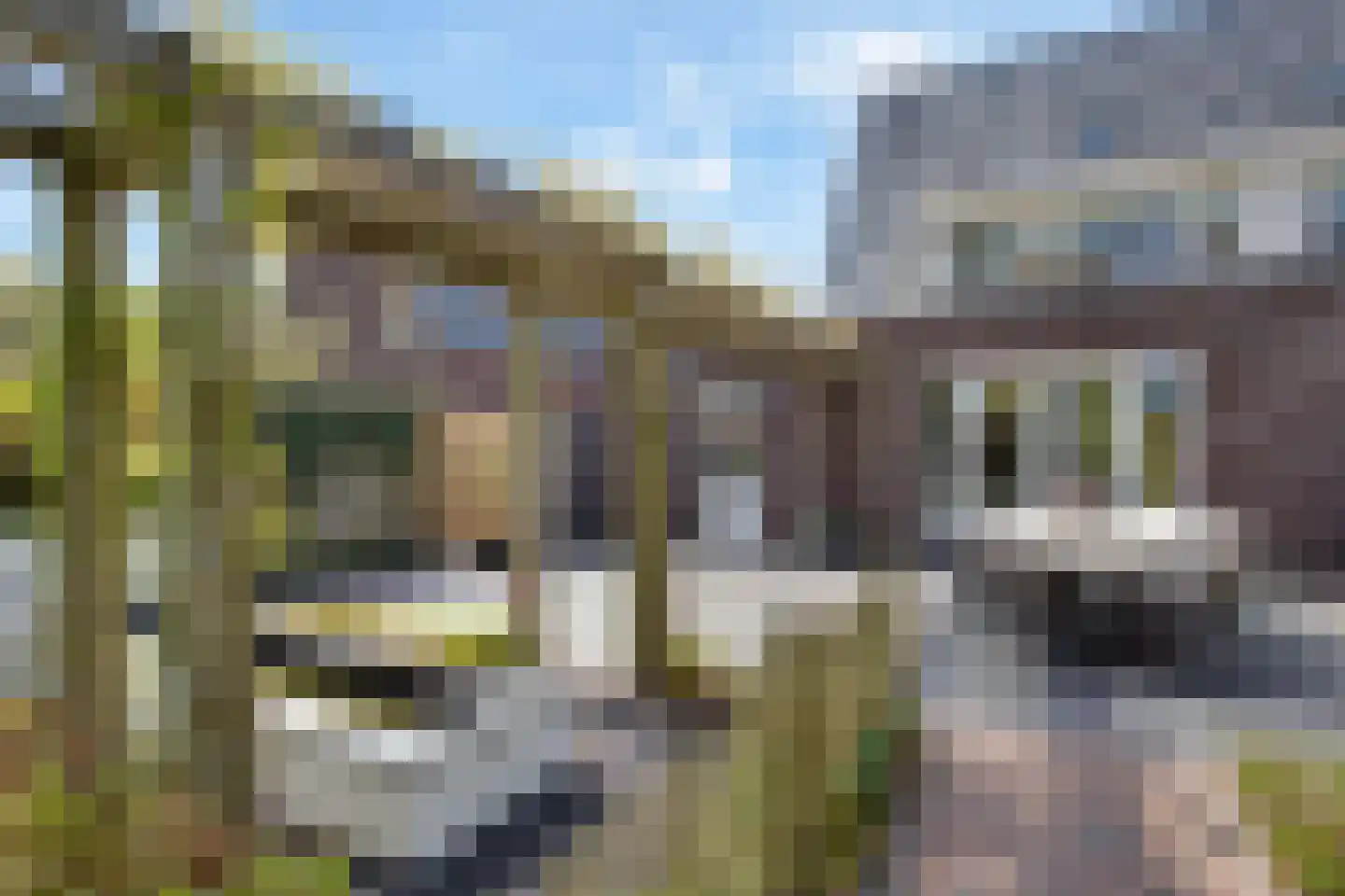 Veldbiesweg 37 't Harde thumbnail 49