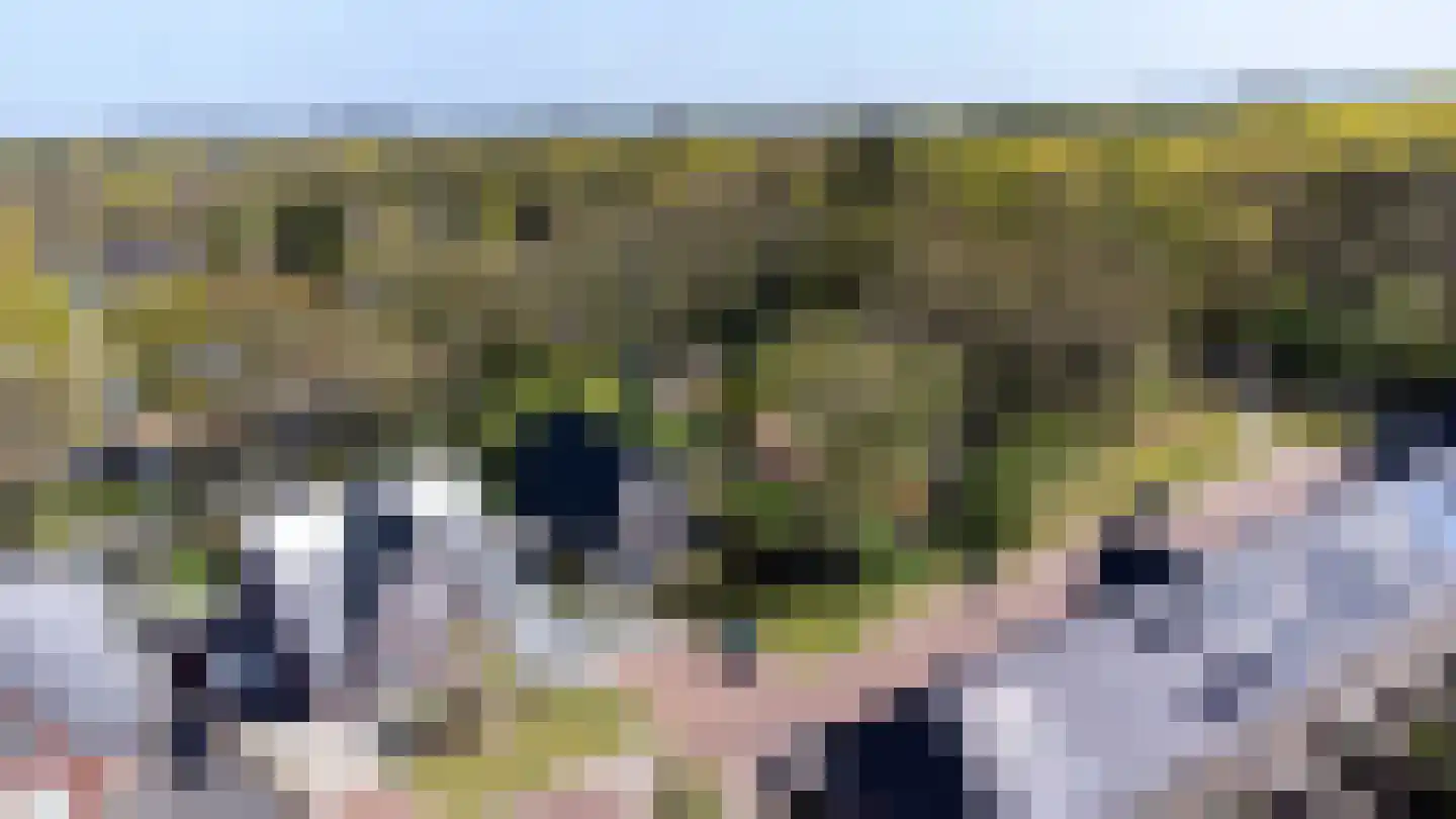 Veldbiesweg 37 't Harde thumbnail 5