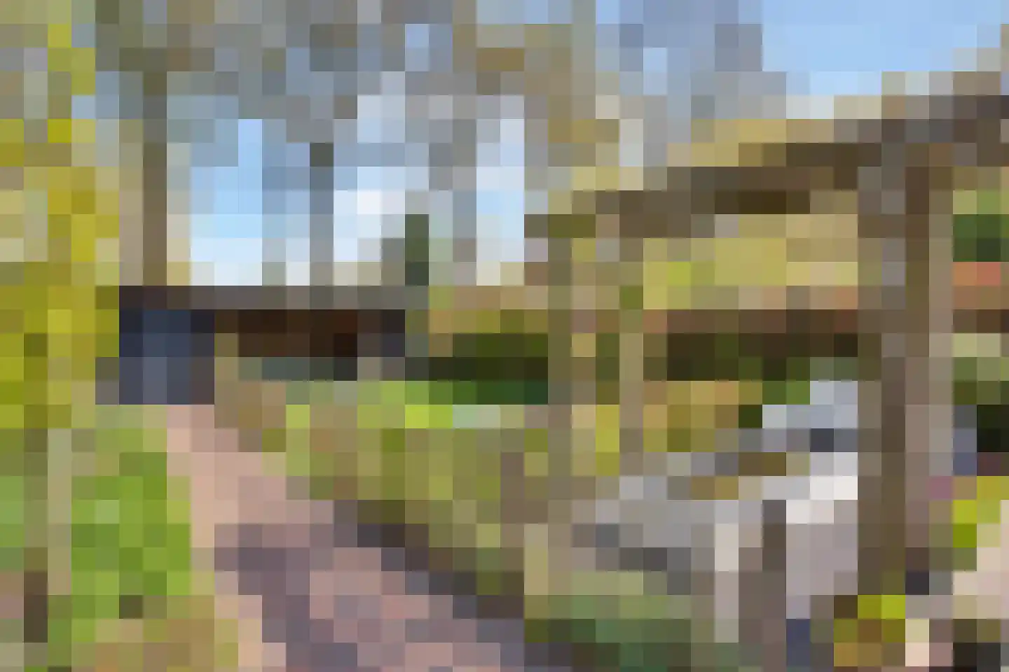 Veldbiesweg 37 't Harde thumbnail 55