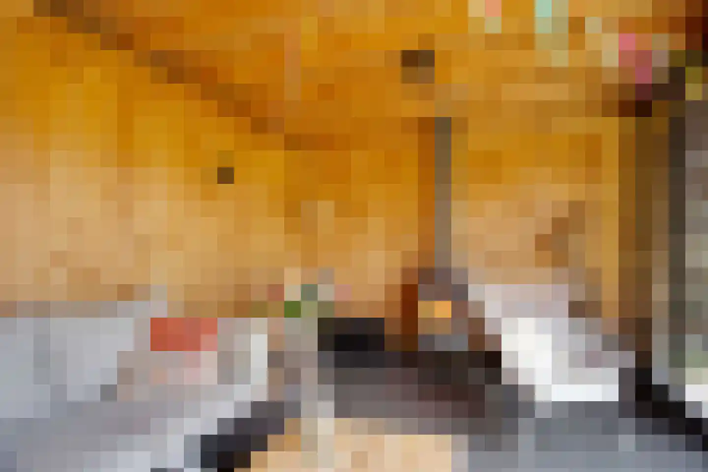 Veldbiesweg 37 't Harde thumbnail 60