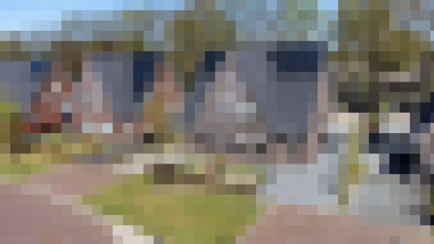 Veldbiesweg 37 't Harde thumbnail 67