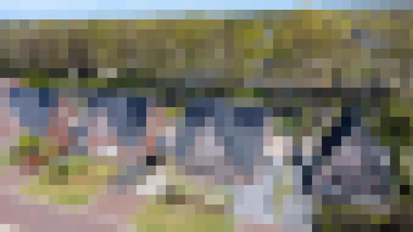 Veldbiesweg 37 't Harde thumbnail 69