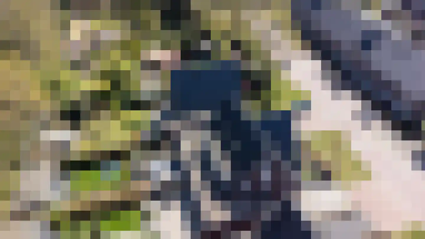 Veldbiesweg 37 't Harde thumbnail 74