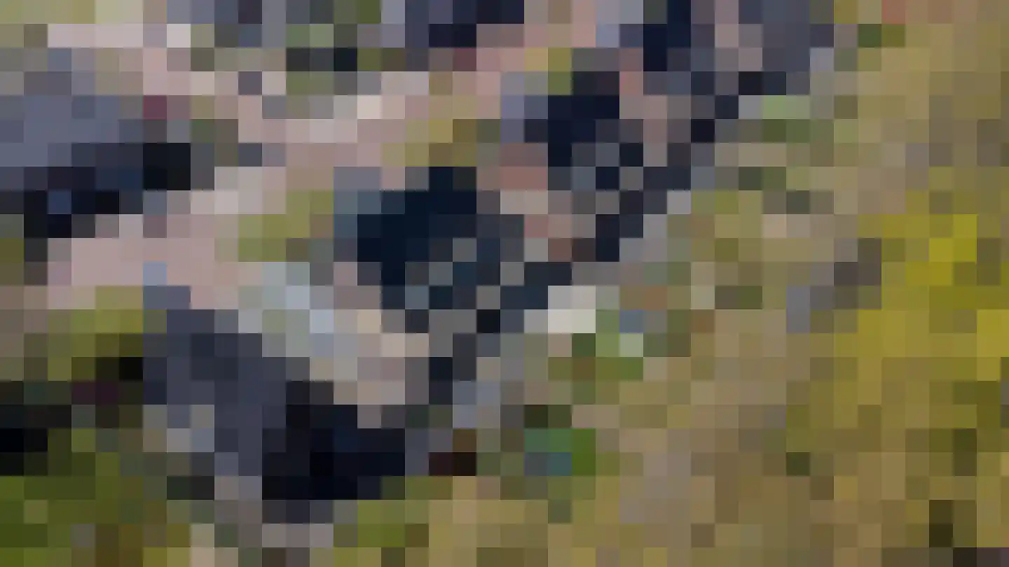 Veldbiesweg 37 't Harde thumbnail 75