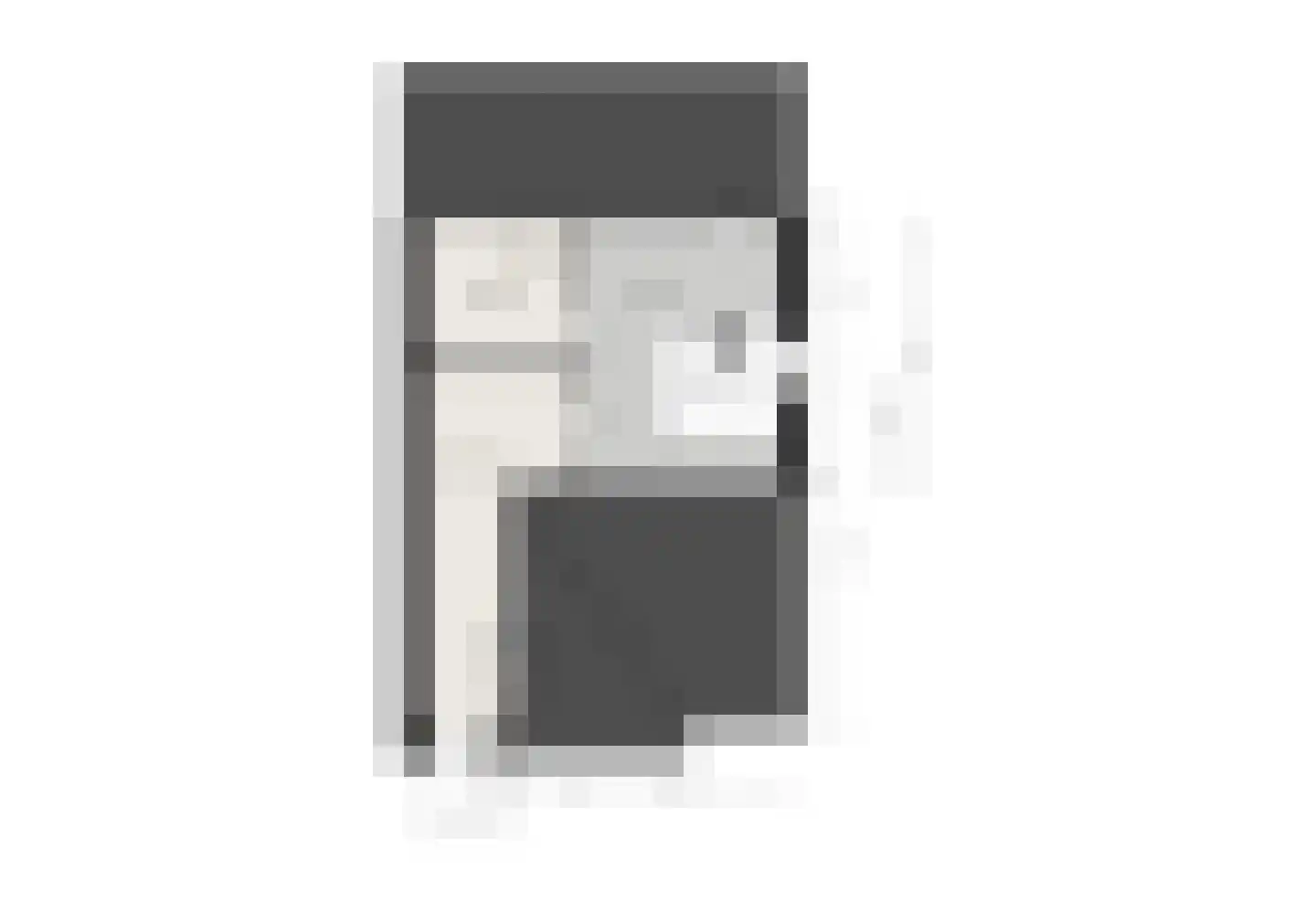Veldbiesweg 37 't Harde thumbnail 82