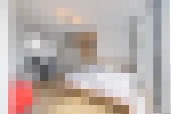 Veldbloem 18 Eijsden thumbnail 19