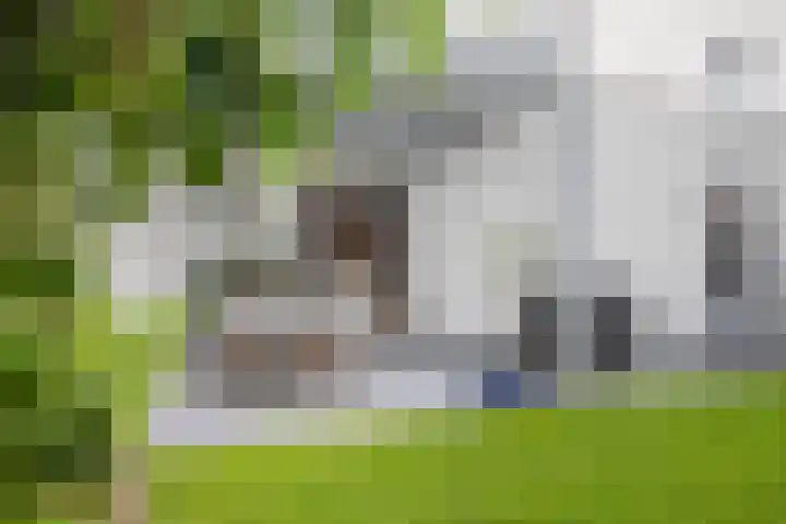 Veldbloem 18 Eijsden thumbnail 21