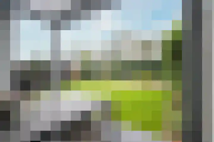 Veldbloem 18 Eijsden thumbnail 22