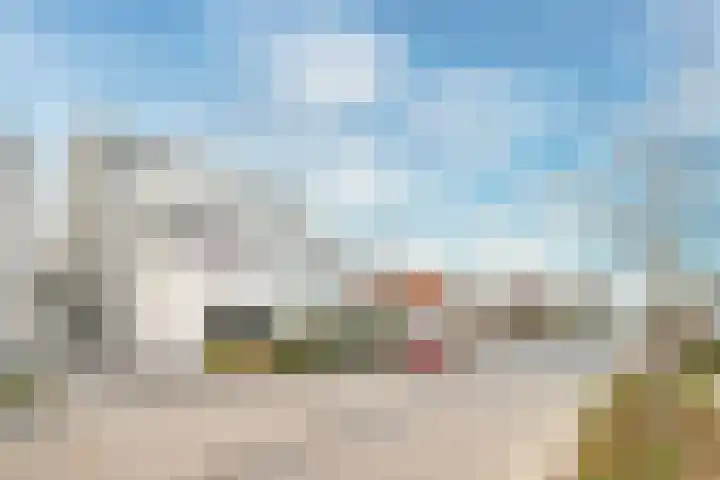 Veldbloem 18 Eijsden thumbnail 26