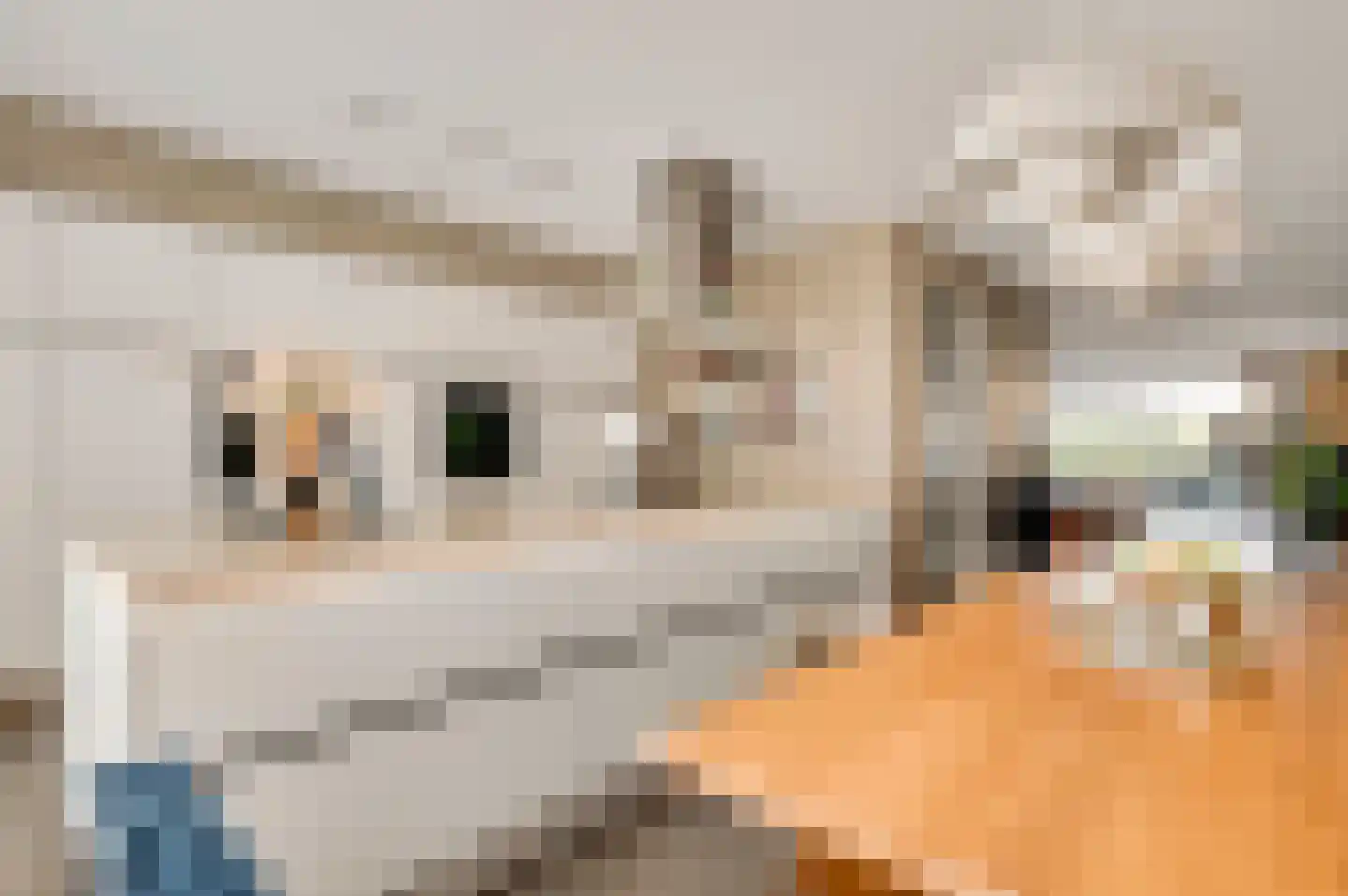 Veldbloem 22 Eijsden thumbnail 14