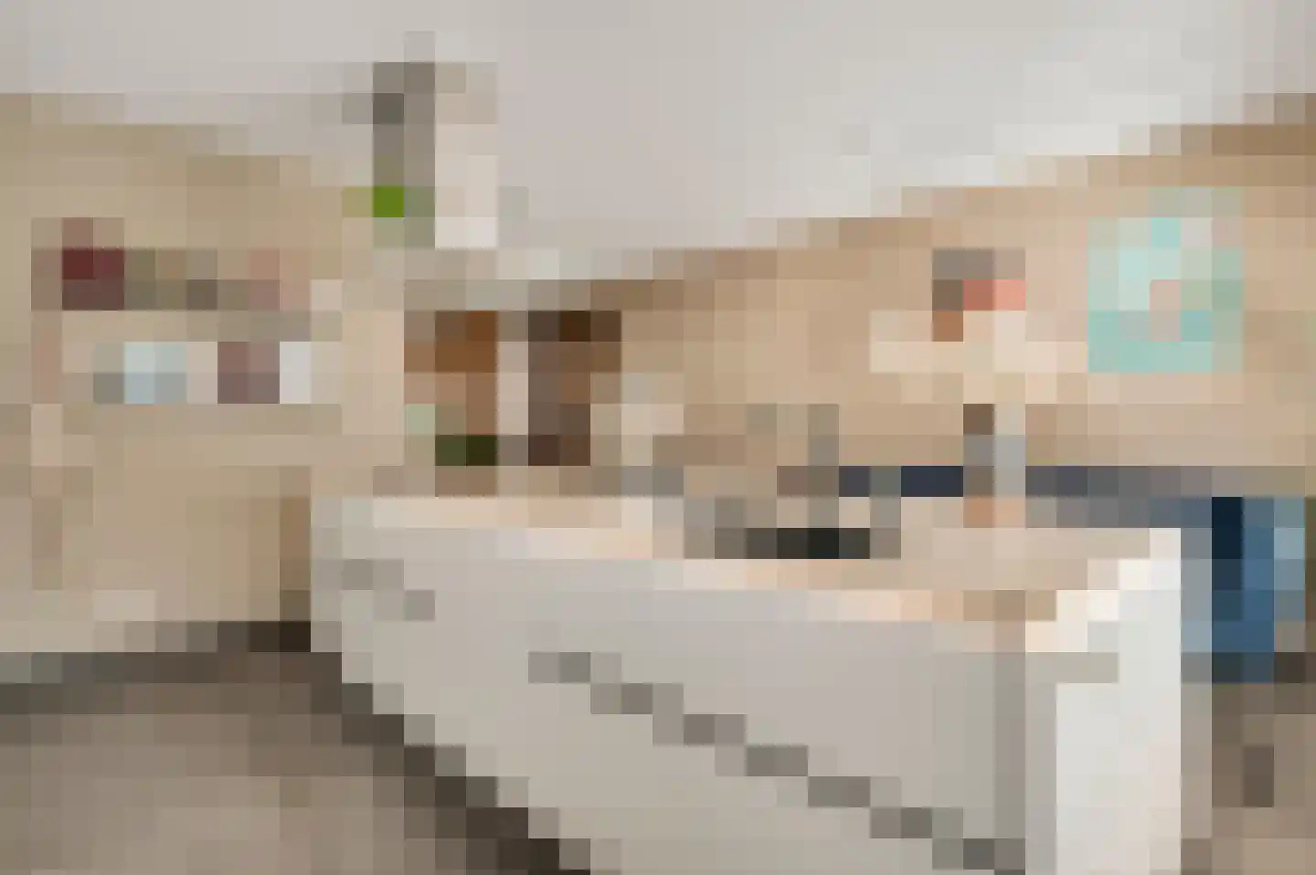 Veldbloem 22 Eijsden thumbnail 16