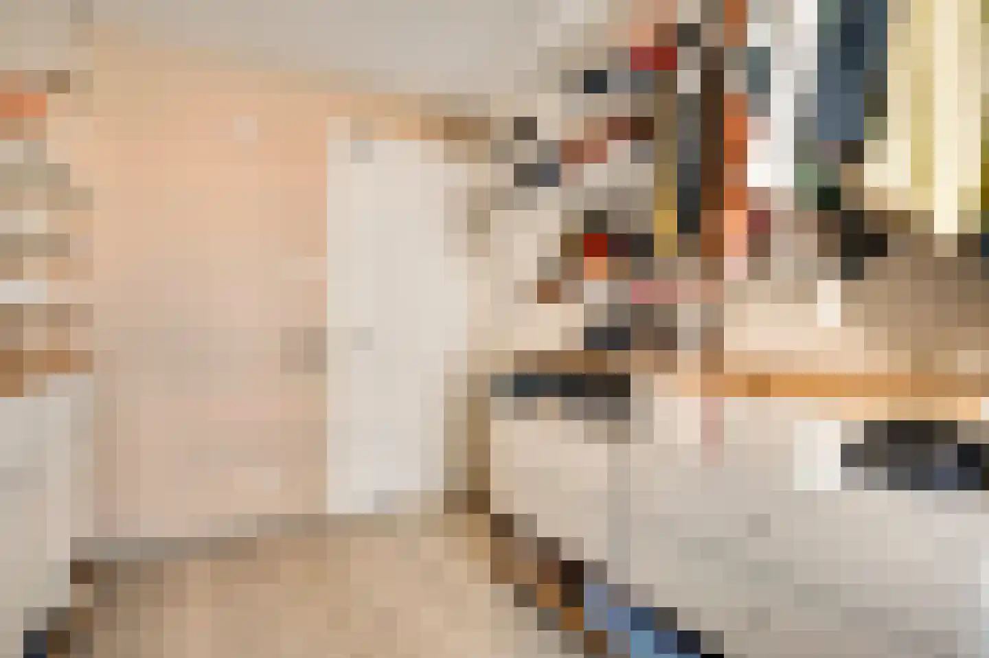 Veldbloem 22 Eijsden thumbnail 30