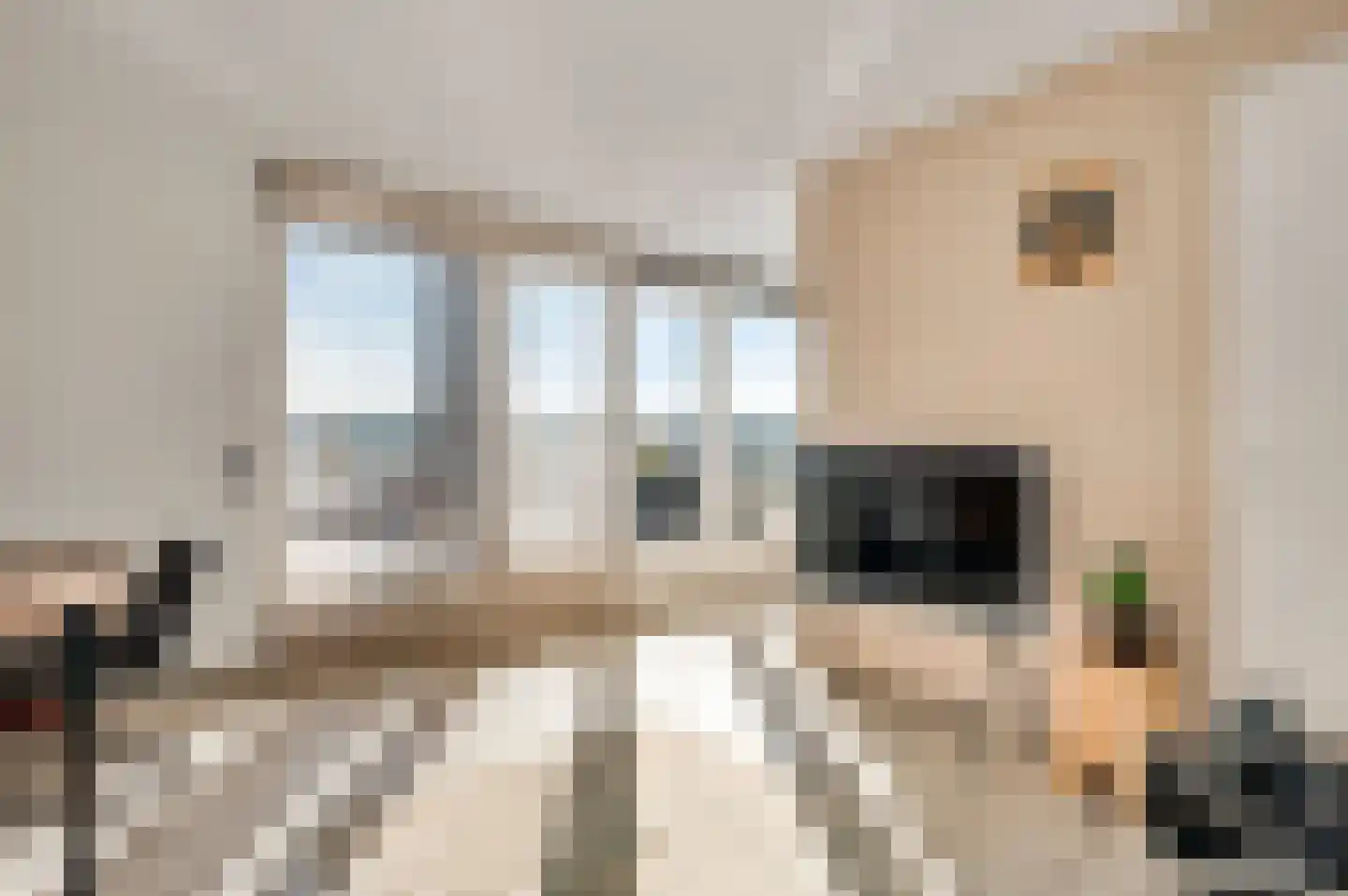 Veldbloem 22 Eijsden thumbnail 35