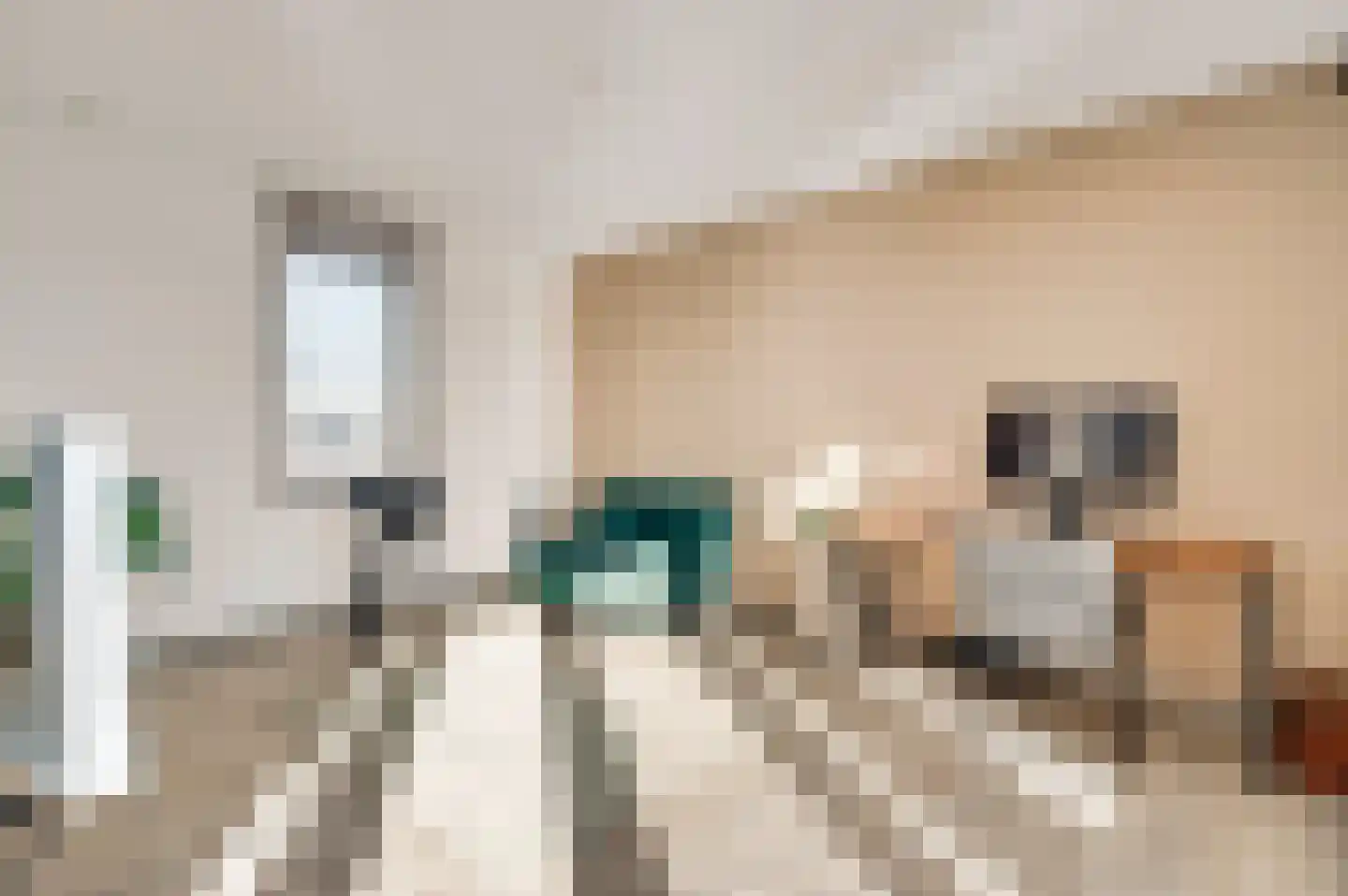 Veldbloem 22 Eijsden thumbnail 37