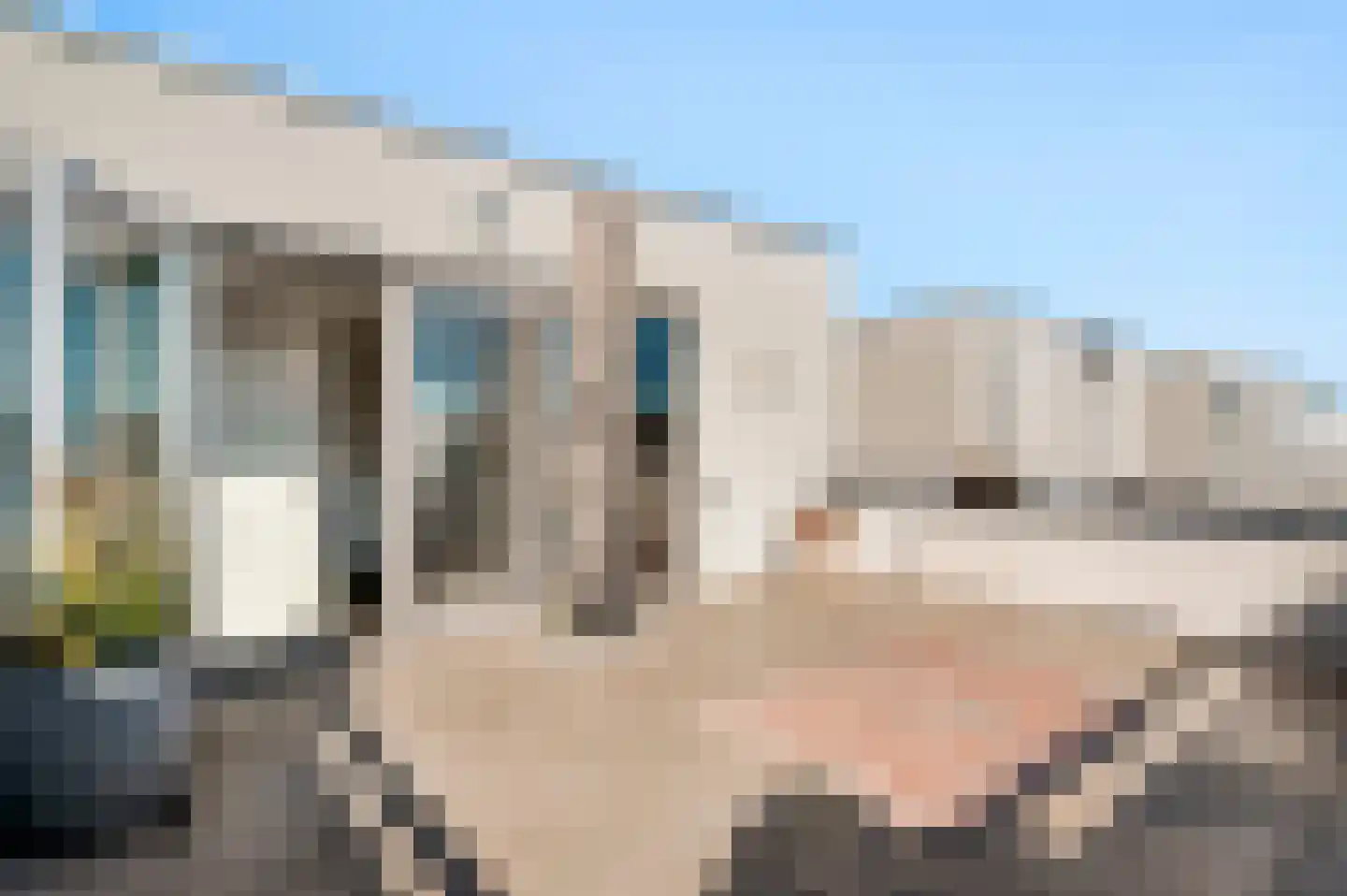 Veldbloem 22 Eijsden thumbnail 38