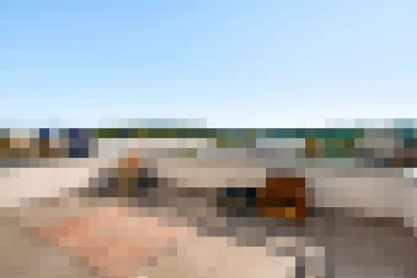 Veldbloem 22 Eijsden thumbnail 39