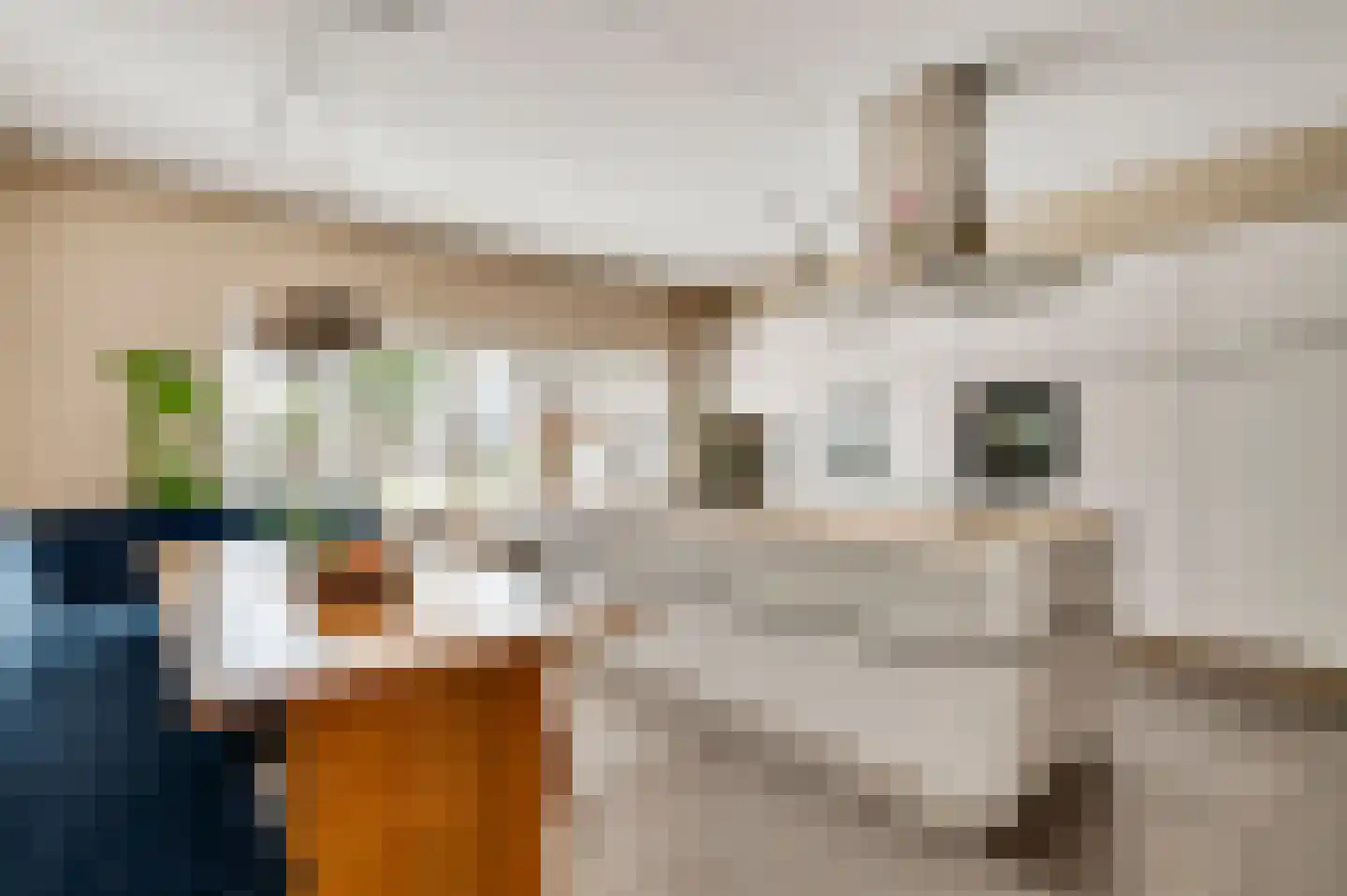 Veldbloem 22 Eijsden thumbnail 4