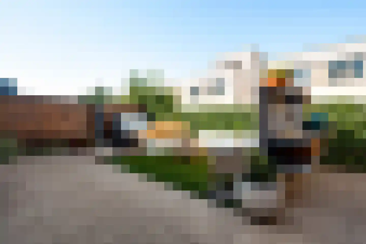 Veldbloem 22 Eijsden thumbnail 44