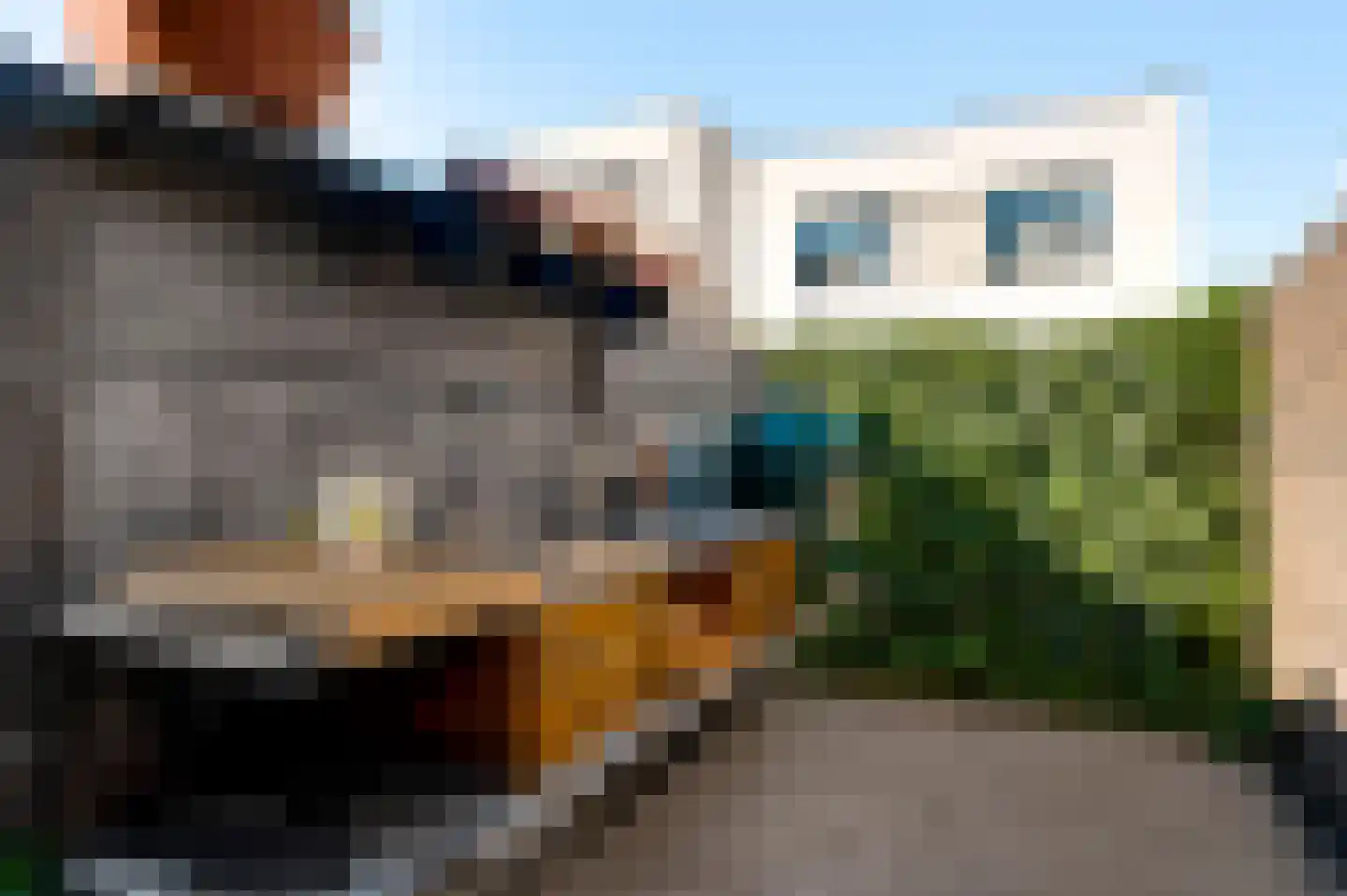 Veldbloem 22 Eijsden thumbnail 45