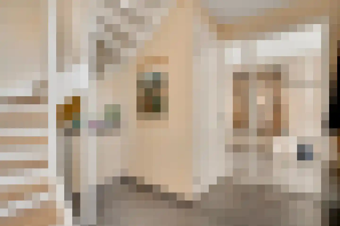 Veldbloem 22 Eijsden thumbnail 5