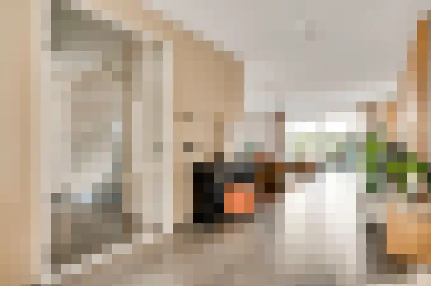 Veldbloem 22 Eijsden thumbnail 7