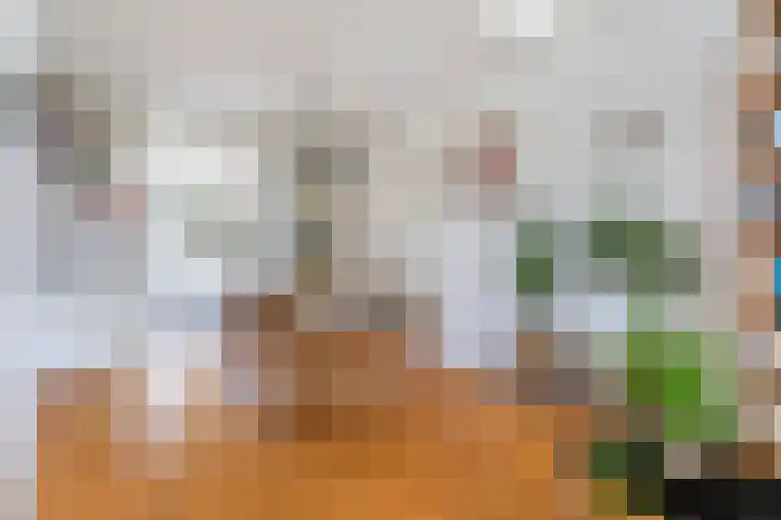 Veldbloemenlaan 18 Woerden thumbnail 12