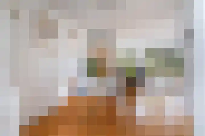 Veldbloemenlaan 18 Woerden thumbnail 13