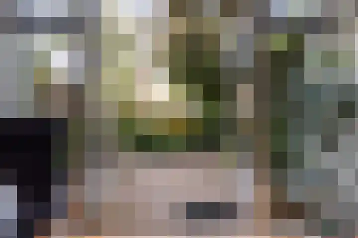 Veldbloemenlaan 18 Woerden thumbnail 21