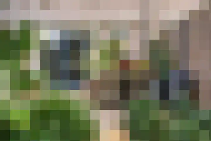 Veldbloemenlaan 18 Woerden thumbnail 23