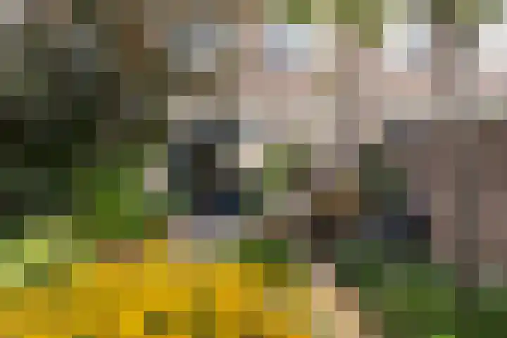 Veldbloemenlaan 18 Woerden thumbnail 24