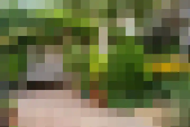 Veldbloemenlaan 18 Woerden thumbnail 26
