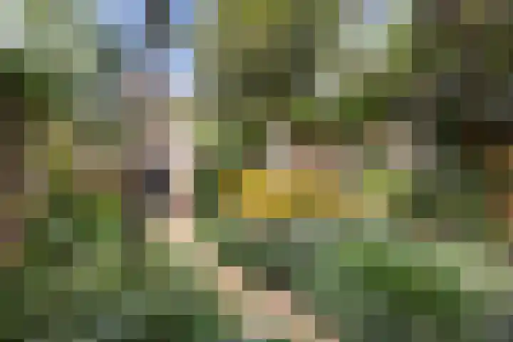 Veldbloemenlaan 18 Woerden thumbnail 27