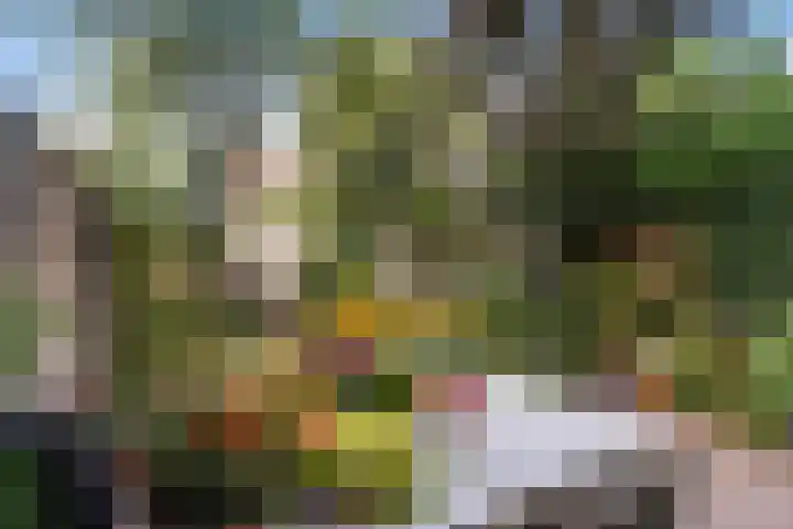 Veldbloemenlaan 18 Woerden thumbnail 28