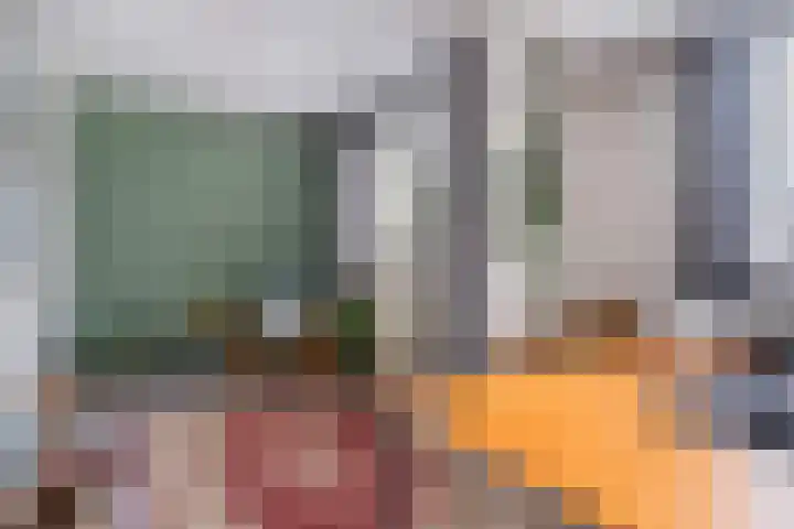 Veldbloemenlaan 18 Woerden thumbnail 36