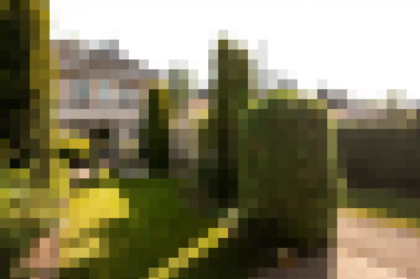 Veldbloemenlaan 20 Elburg thumbnail 36