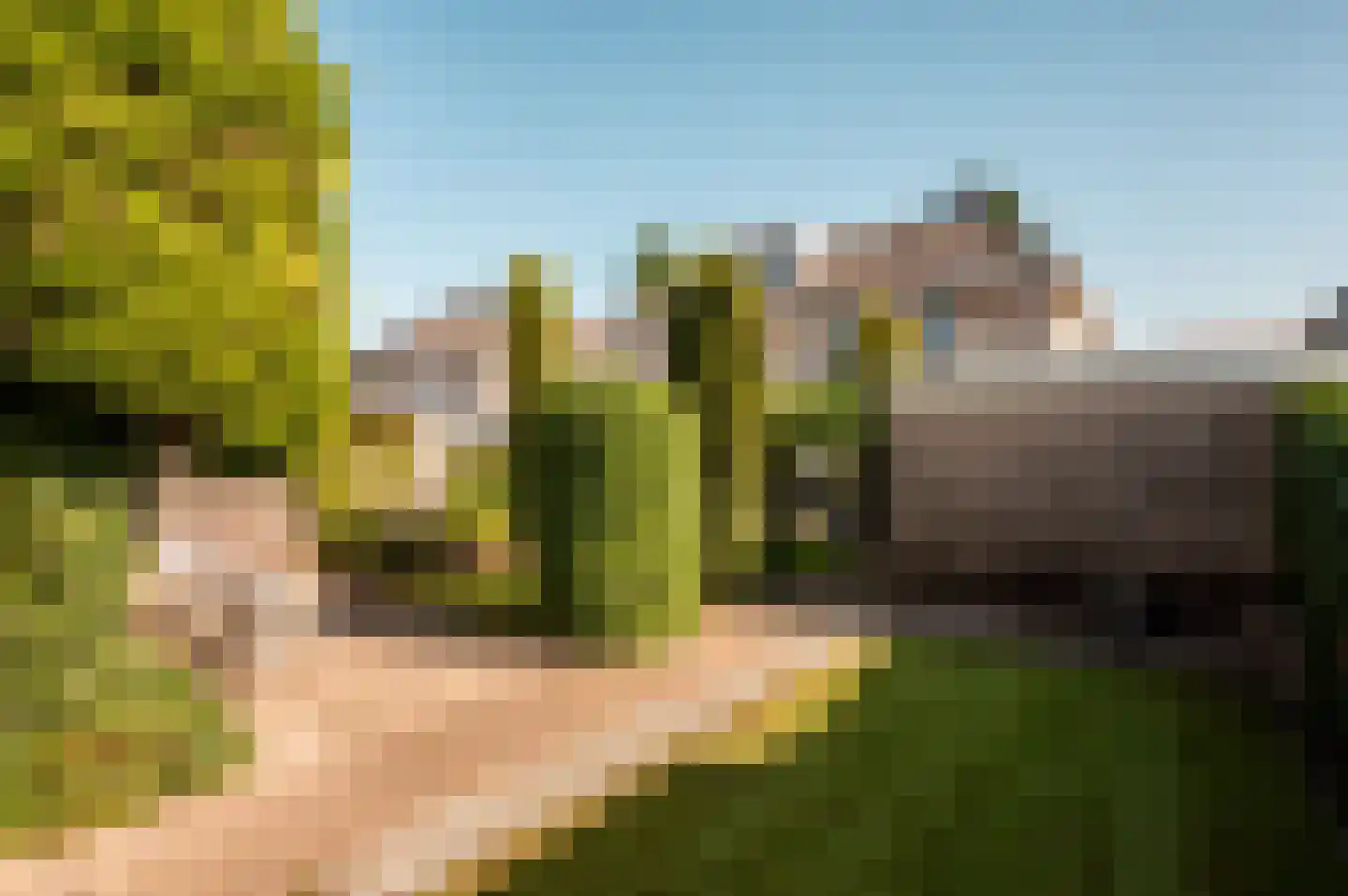 Veldbloemenlaan 20 Elburg thumbnail 37