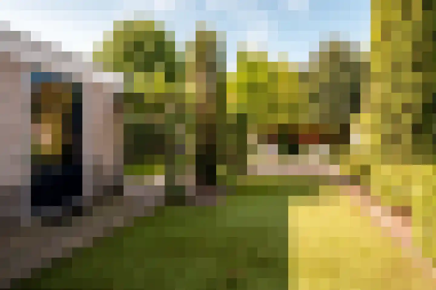 Veldbloemenlaan 20 Elburg thumbnail 39