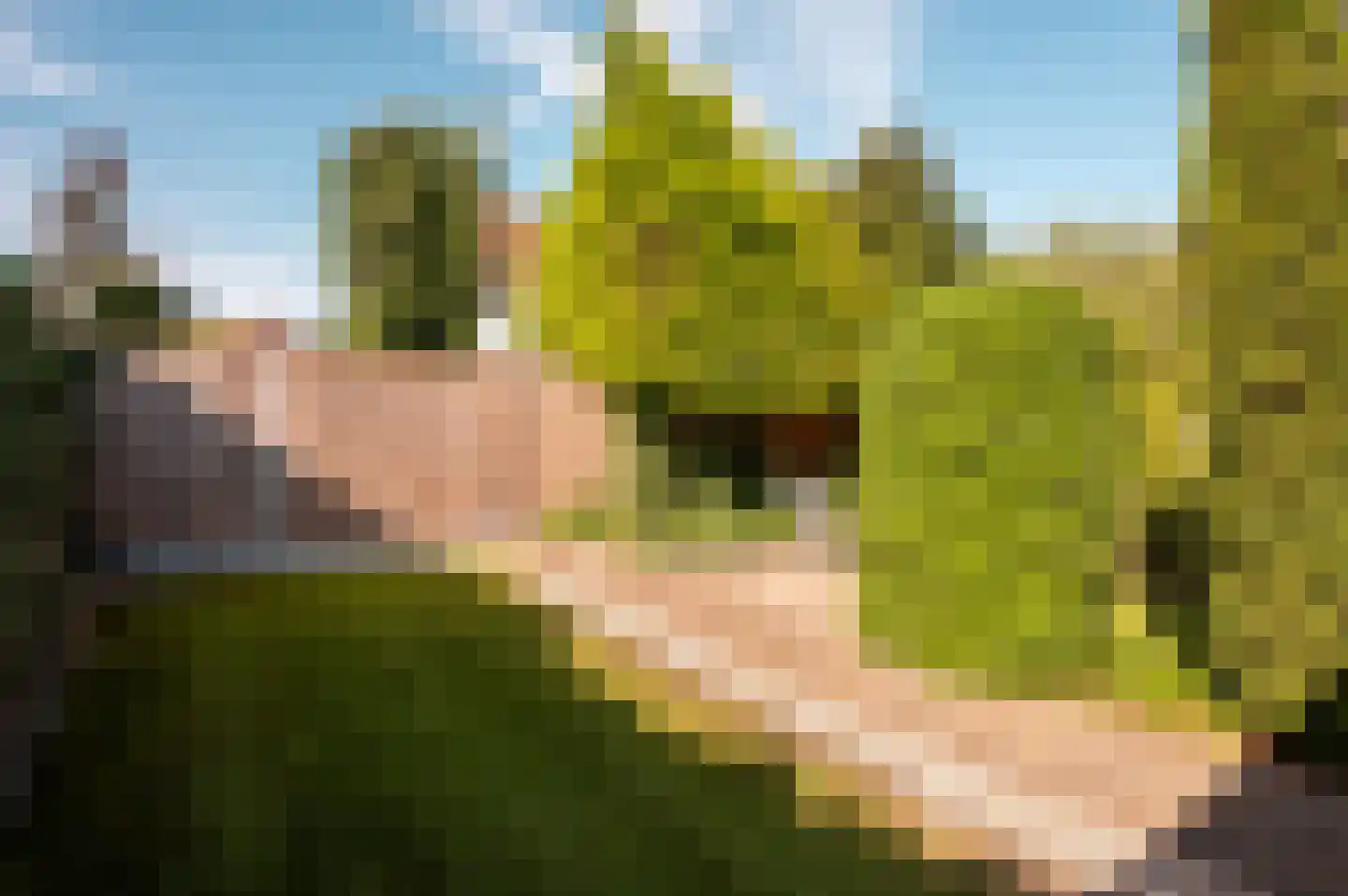 Veldbloemenlaan 20 Elburg thumbnail 40