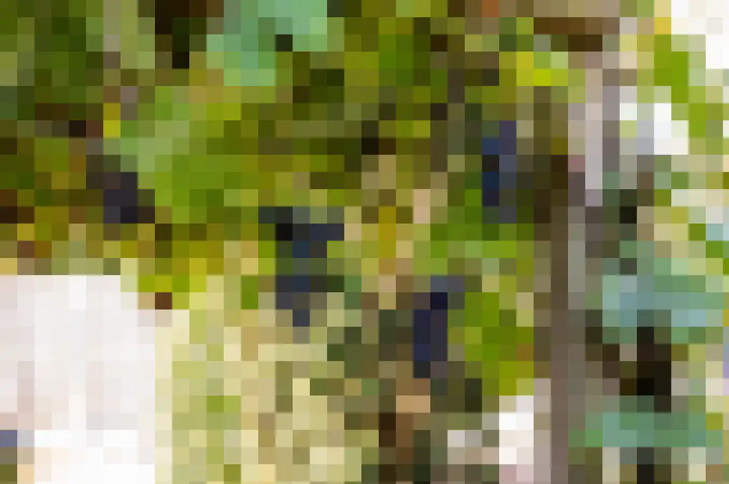 Veldbloemenlaan 20 Elburg thumbnail 41