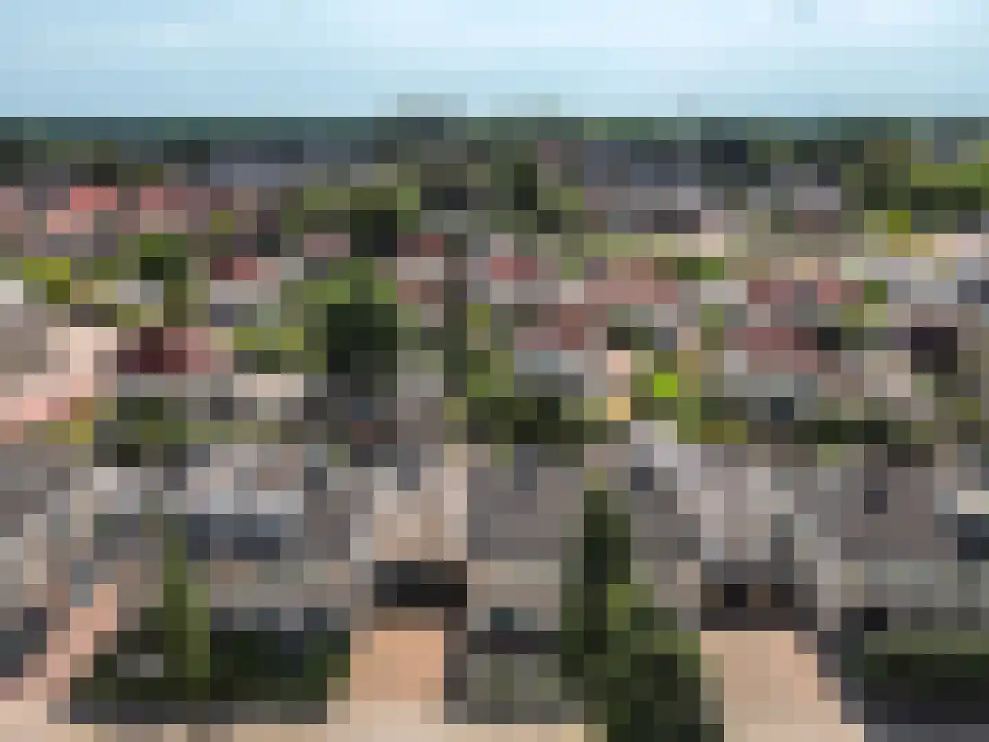 Veldbloemenlaan 20 Elburg thumbnail 42