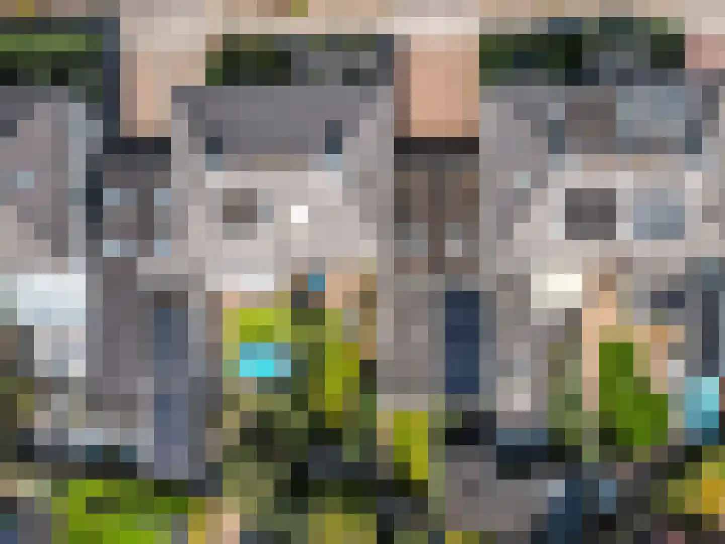 Veldbloemenlaan 20 Elburg thumbnail 44